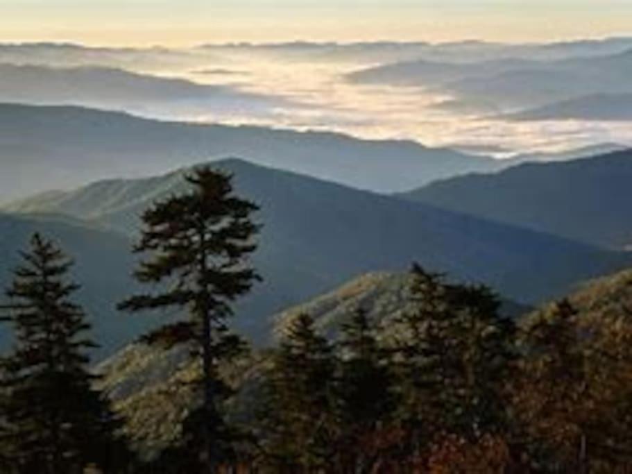 1 Mi To Dollywood Mins To All Attractions & Gsmnp เซอเวียร์วีล ภายนอก รูปภาพ