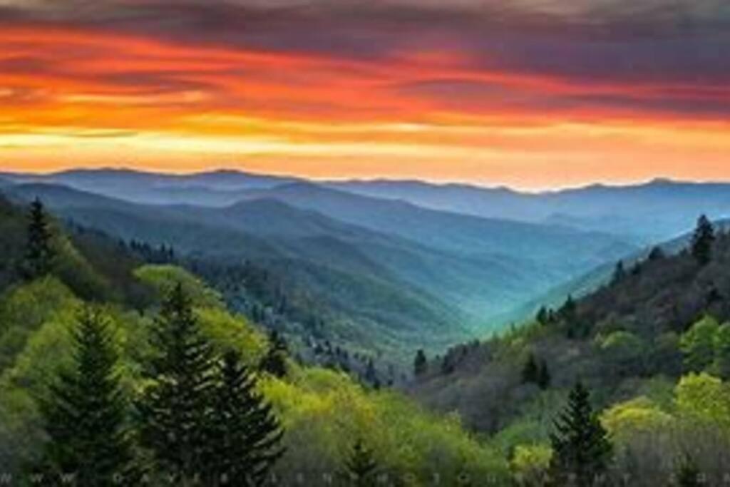 1 Mi To Dollywood Mins To All Attractions & Gsmnp เซอเวียร์วีล ภายนอก รูปภาพ